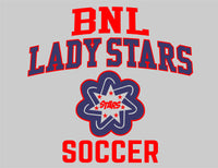 #091 BNL LADIES SOCCER LONG SLEEVE COTTON T, ASH GREY, ADULT, 2400, DESIGN 7