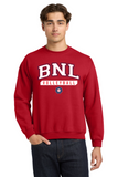 #127 BNL VBALL, CREWNECK SWEATSHIRT, RED, YOUTH & ADULT, 18000, DESIGN #2