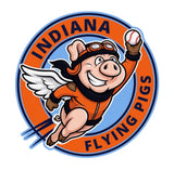 #132 FLYING PIGS, COTTON T SHIRT, ORANGE, YOUTH & ADULT, 8000, DESIGN #4