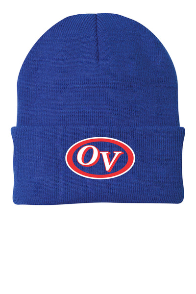 #070 JR PATRIOT BBALL BEANIE ROYAL DESIGN 3 CP90